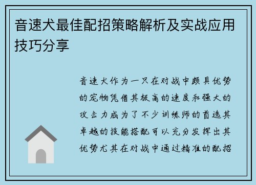 音速犬最佳配招策略解析及实战应用技巧分享